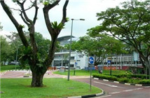 香港留学如何找工作呢？