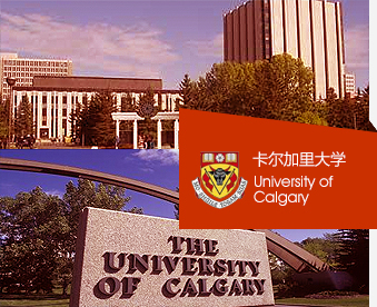 卡尔加里大学