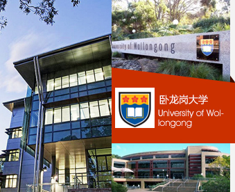卧龙岗大学